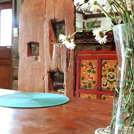 Holiday home En Route Pour La Seliniere ! Champ-du-Boult
